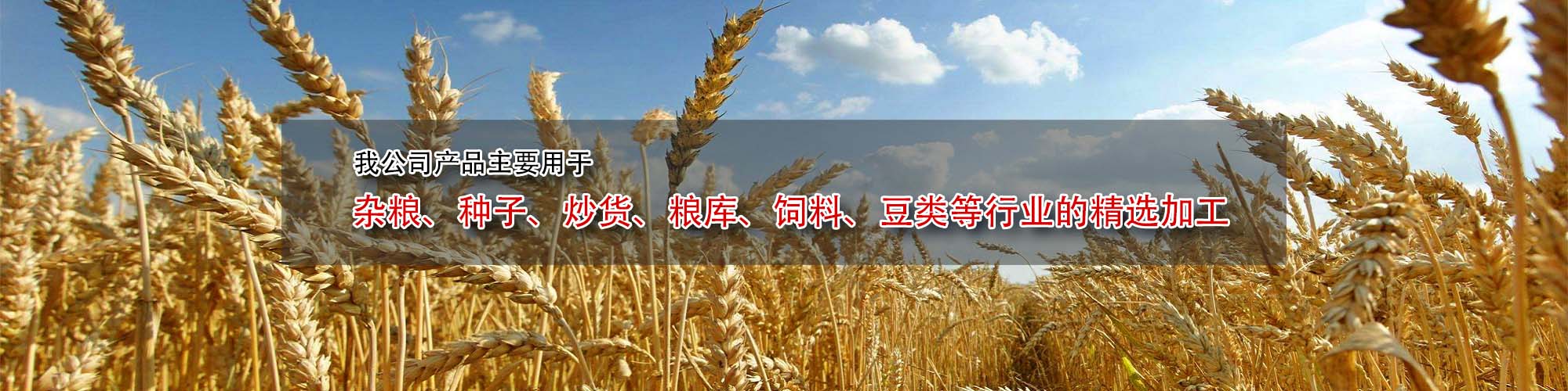 技術(shù)服務(wù)